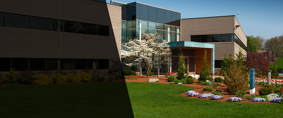 Woodville Landscapers